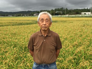 伊津さんの農薬不使用米