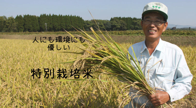 特別栽培米 | 北九州で無農薬・特別栽培米の玄米扱う梶谷米穀店
