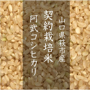 商品一覧 | 北九州で無農薬・特別栽培米の玄米扱う梶谷米穀店